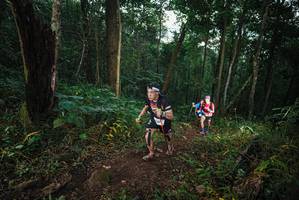 BIB: 
                            <button type="button" onclick="openModal(22426860)" class="btn btn-primary btn-sm float-right btn-popup" data-toggle="modal" data-target=".modal-high-quality">
                        <i class="fas fa-shopping-cart"></i> Add to Cart
                    </button>
                                            <button type="button" onclick="isThisMe(22426860, true)" class="btn btn-success btn-sm float-right btn-popup btn-isme hidden" data-toggle="tooltip" data-placement="bottom" title="นี่คือรูปของคุณใช่ไหม คลิกที่นี่เพื่อเอาเข้าอัลบั้ม">
                        <i class="fas fa-plus"></i> Add to album
                    </button>
                    <button type="button" onclick="isThisMe(22426860, false)" class="btn btn-warning btn-sm float-right btn-popup btn-isnotme hidden">
                        <i class="fas fa-ban"></i> Remove from album
                    </button>